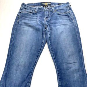 Lucky Brand Sofia Straight Jeans Size 0/25